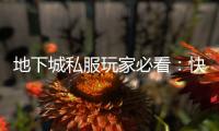 地下城私服玩家必看：快速升级攻略大公开！