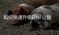 如何快速升级DNF公益服角色