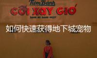 如何快速获得地下城宠物装备