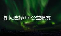 如何选择dnf公益服发布网巫女100级装备