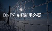 DNF公益服新手必看：职业、装备与高效升级技巧