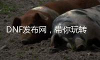 DNF发布网，带你玩转热血格斗世界