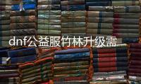 dnf公益服竹林升级需要注意什么？