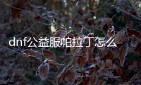 dnf公益服帕拉丁怎么加点最有效？