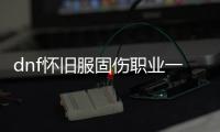 dnf怀旧服固伤职业一览
